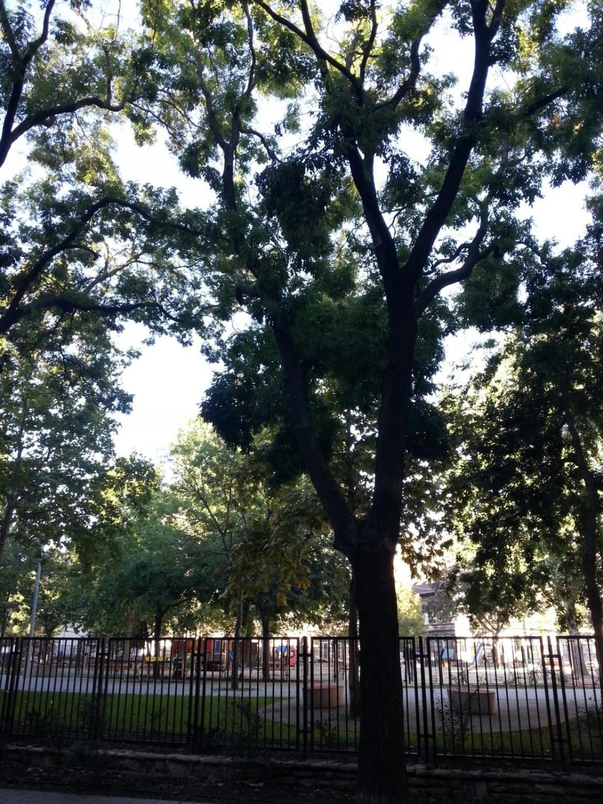 Appartamento Sunny Facing The Park Budapest